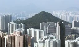 How to get a graduate ESG job in Hong Kong