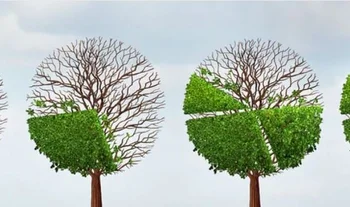 Mastering the financials