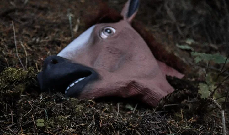 a rubber horse mask on the ground
