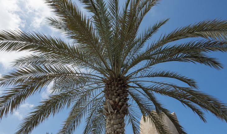 Crypto trading firm GSR made its first hire in the UAE at an interesting time