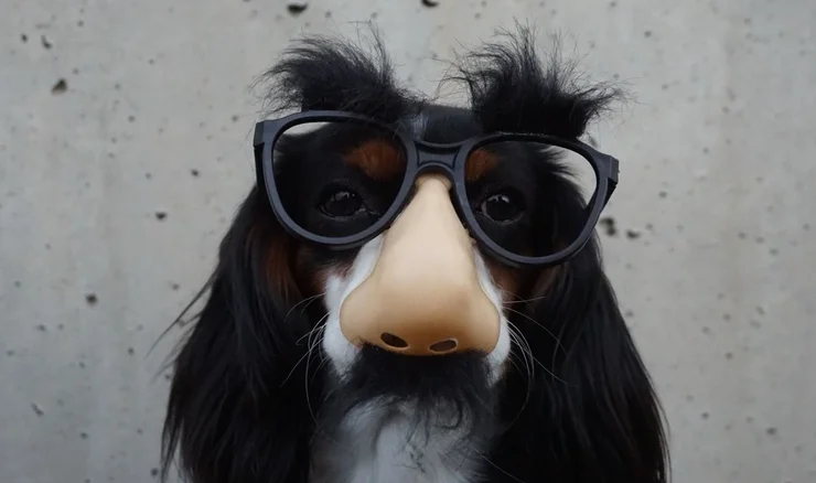 Fake it till you make it: how to get a VC job