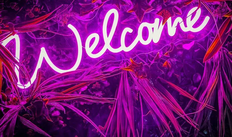 welcome in pink 