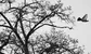 Another trader left Nomura's leaky rates team before Christmas 
