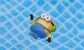 Minion toy floating in a swimming pool