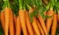 Goldman Sachs London staff are getting a fruit and veg stall of their own